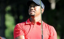 Vì sao Tiger Woods tuột dốc không phanh?