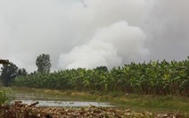 Cháy hàng trăm hecta rừng tràm ở U Minh Thượng