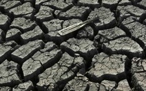​Báo động tình trạng khô hạn toàn thế giới