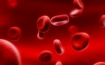 ​Chỉ 40% bệnh nhân Hemophilia ở Việt Nam được chăm sóc