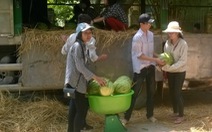Bạn trẻ Thanh Hóa nhận bán 40 tấn dưa hấu Quảng Ngãi