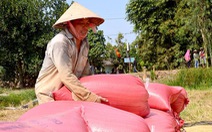 Xuất khẩu gạo của Việt Nam vẫn tiếp tục gặp khó