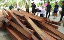 Bắt xe chở gỗ quý không nguồn gốc từ Campuchia