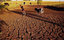 ​Brazil đối mặt với tình trạng thiếu nước tồi tệ nhất lịch sử
