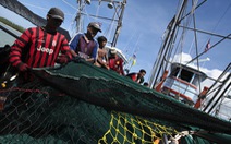 Thái Lan quyết xóa nạn “nô lệ trên tàu cá”