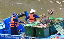Cá chết trắng kênh Nhiêu Lộc - Thị Nghè