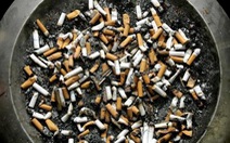 Ba công ty thuốc lá Canada bị phạt kỷ lục 12 tỷ USD