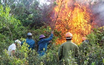 Quân dân hai huyện ở Nghệ An hợp sức dập lửa rừng thông