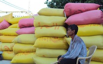 Thương hiệu gạo Việt nổi tiếng toàn cầu
