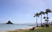 Hawaii ký sự: Oahu - tắm mình trên những dòng xanh