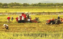 ​Tập trung 3 nhóm giải pháp thúc đẩy sản xuất nông nghiệp