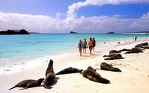 Galapagos - đảo đẹp nhất hành tinh 