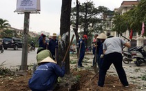 Vụ chặt cây xanh Hà Nội: Đề nghị cách chức, giáng chức 3 cán bộ