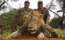 ​Nha sĩ Mỹ bắn chết sư tử "cưng" của Zimbabwe