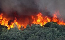 ​Cháy rừng dữ dội ở California, 1.000 dân buộc phải sơ tán