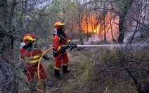 Châu Âu nóng bức, nơi hạn nơi cháy rừng
