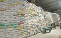 ​Định mức chi phí bảo quản hạt giống lúa dự trữ quốc gia