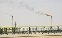 ​VN khai thác dòng dầu đầu tiên tại sa mạc Sahara