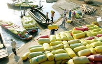 ​Việt Nam còn nhiều cơ hội xuất khẩu gạo