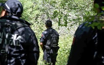 Mexico phát hiện hố chôn ít nhất 31 người