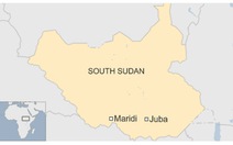Nổ xe bồn chở dầu, ít nhất 170 người Nam Sudan chết