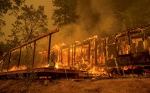 ​Cháy rừng lớn tại California, 1.500 căn nhà bị phá hủy