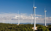​Phát triển năng lượng gió: giá quá rẻ nên chưa hấp dẫn