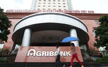 Cho vay sai quy định, Agribank mất 966 tỉ đồng