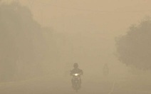 ​Indonesia đồng ý cho nước ngoài giúp chống cháy rừng