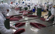Xuất khẩu cá ngừ sang Anh giảm