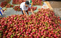 ​Xuất khẩu rau quả, trái cây: 2 tỉ USD trong tầm tay