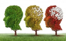 ​Protein có thể hỗ trợ phương pháp điều trị bệnh Alzheimer