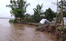 ​Đồng Tháp tập trung các giải pháp ứng phó biến đổi khí hậu