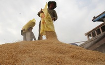 Không thương hiệu, gạo Việt khó cạnh tranh
