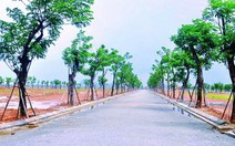 ​Giá đất tại Đà Nẵng tăng vọt