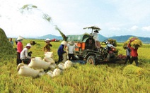 ​Nông sản Việt sẽ đứng đâu trong ASEAN?