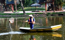 Hà Nội miễn vé vào công viên Thống Nhất, Bách Thảo