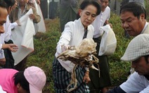 ​Bà Aung San Suu Kyi ra đường nhặt rác