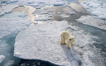 ​Bắc Cực nóng nhất 115 năm qua
