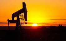 ​Giá dầu tiếp tục sụt giảm, có thể còn 20 USD/thùng