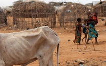 ​Hạn hán kéo dài khiến nạn đói lan rộng ở Nam châu Phi
