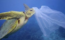 ​Các đại dương sẽ ngập rác thay vì cá