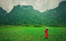 Việt Nam hùng vĩ, xanh mượt trong cảnh quay Kong: Skull Island