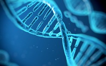 ​Khi nào cần giám định ADN?