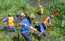“Chủ nhật xanh” 114 hành động vì môi trường xanh - sạch