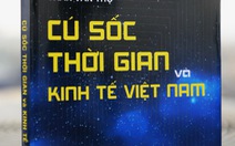 Cú sốc thời gian và kinh tế Việt Nam