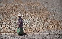 ​Hạn hán buộc Thái Lan phải đa dạng cây trồng ngoài lúa nước