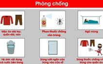 Infographic triệu chứng và cách phòng chống Zika