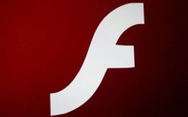 Người dùng máy tính cần cập nh​ật nhanh Adobe Flash