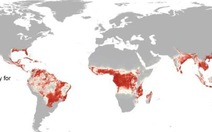 Hơn 2,2 tỉ người sống trong các khu vực có Zika